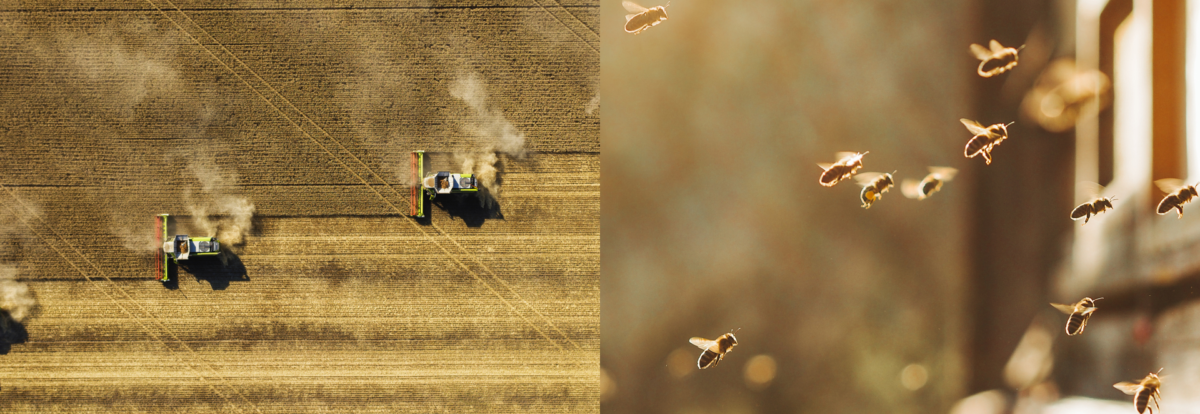 Nature Strategy Handbook Now For Nature